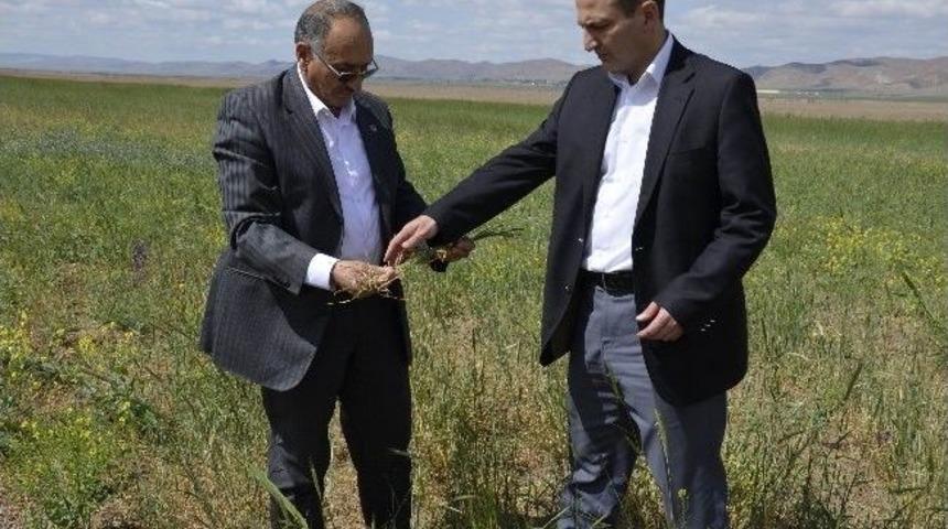 Ak Parti İl Başkanı Yıldırıcı'dan Kurak Alanda İnceleme