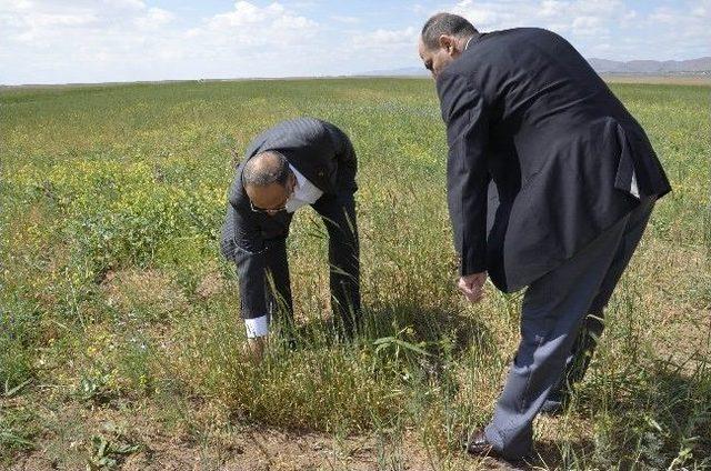 Ak Parti İl Başkanı Yıldırıcı'dan Kurak Alanda İnceleme