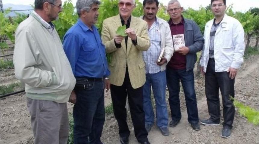 &Uuml;z&uuml;m &Uuml;reticileri, Rekolte Ve İran &Uuml;z&uuml;m&uuml; Endişesi Yaşıyor