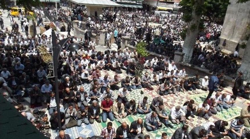 S&ouml;g&uuml;tl&uuml; Cami Tadilatı