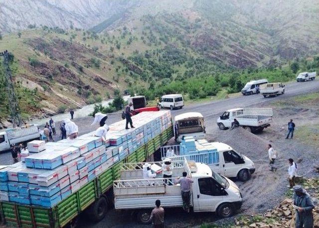 &Ccedil;&ouml;z&uuml;m S&uuml;reci Bal &Uuml;retimini Arttırdı 2