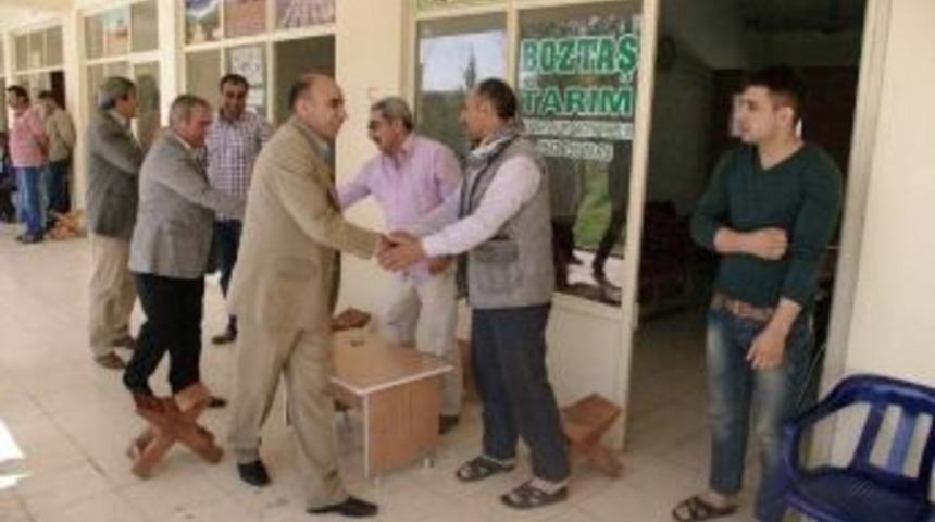 Arpa Sezonu Başladı