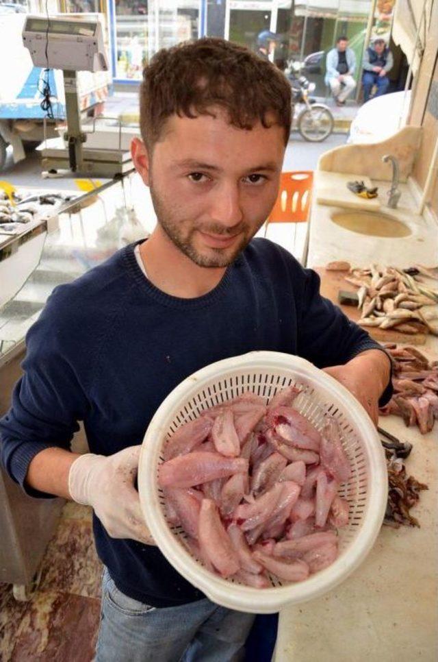 Sinop'ta Balıkçılar Iskorpit Sezonunu Açtı