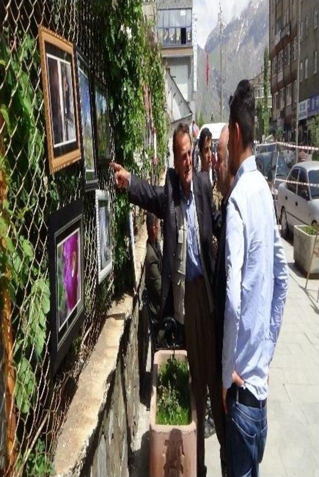 Dar Gelirli &Ouml;ğrenciler İ&ccedil;in Resim Ve Fotoğraf Sergisi 1