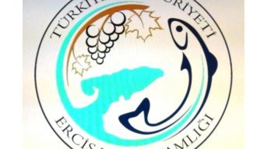 Erciş Kaymakamlığı Yeni Logosunu Belirledi