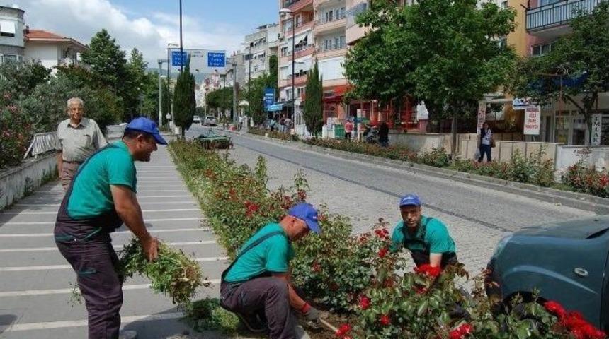 Erdek Belediye Binasının &Ccedil;ehresi Değişti