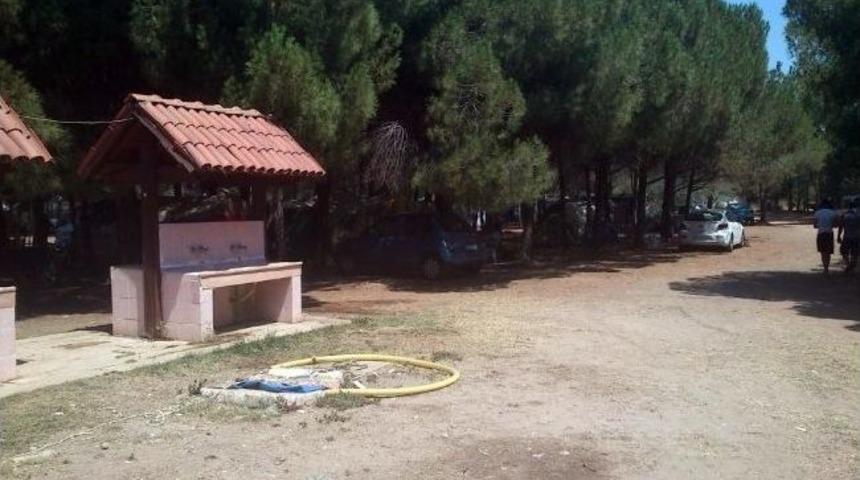 Didim Belediyesi, Orman Kampına Sahip &Ccedil;ıktı