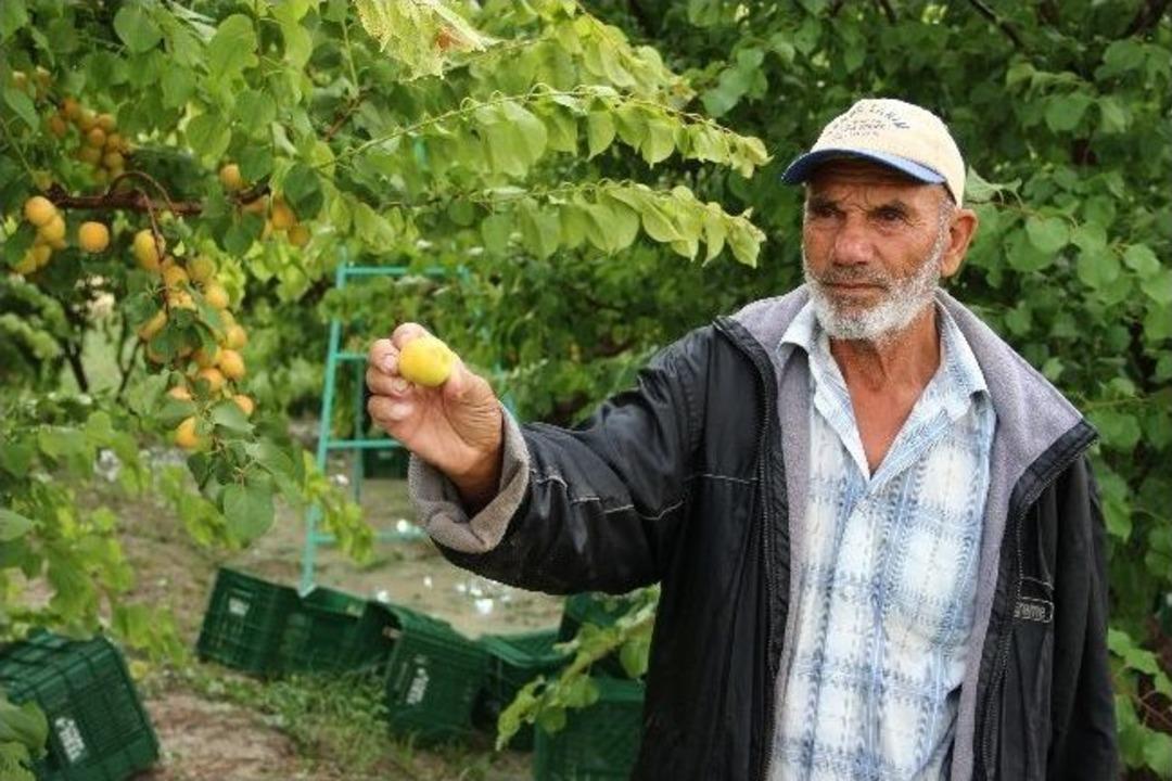 Dolu Yağışı &Ccedil;ift&ccedil;iyi Vurdu