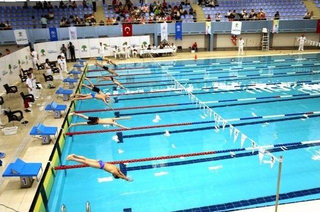 K&uuml;&ccedil;&uuml;k Kula&ccedil;lar Yarışıyor 1