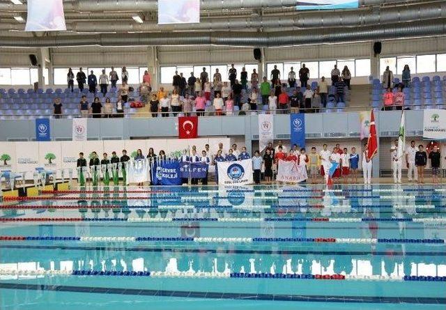 K&uuml;&ccedil;&uuml;k Kula&ccedil;lar Yarışıyor 2