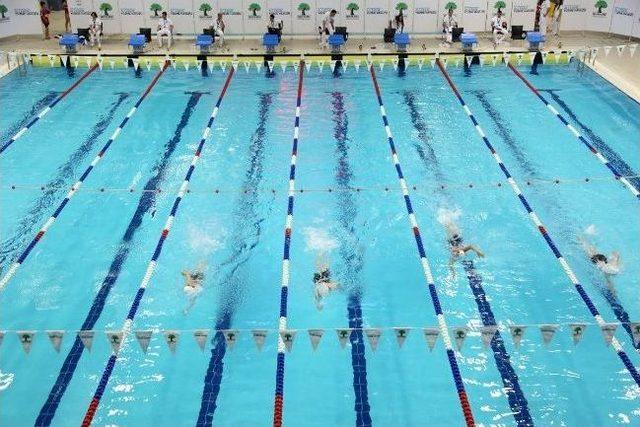 K&uuml;&ccedil;&uuml;k Kula&ccedil;lar Yarışıyor 3