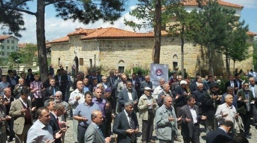 T&uuml;rkav&rsquo;dan Tatlı İkramı