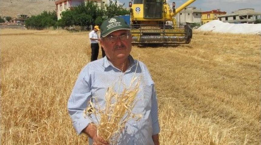 Hasat, &Ccedil;ift&ccedil;iyi Memnun Etmedi