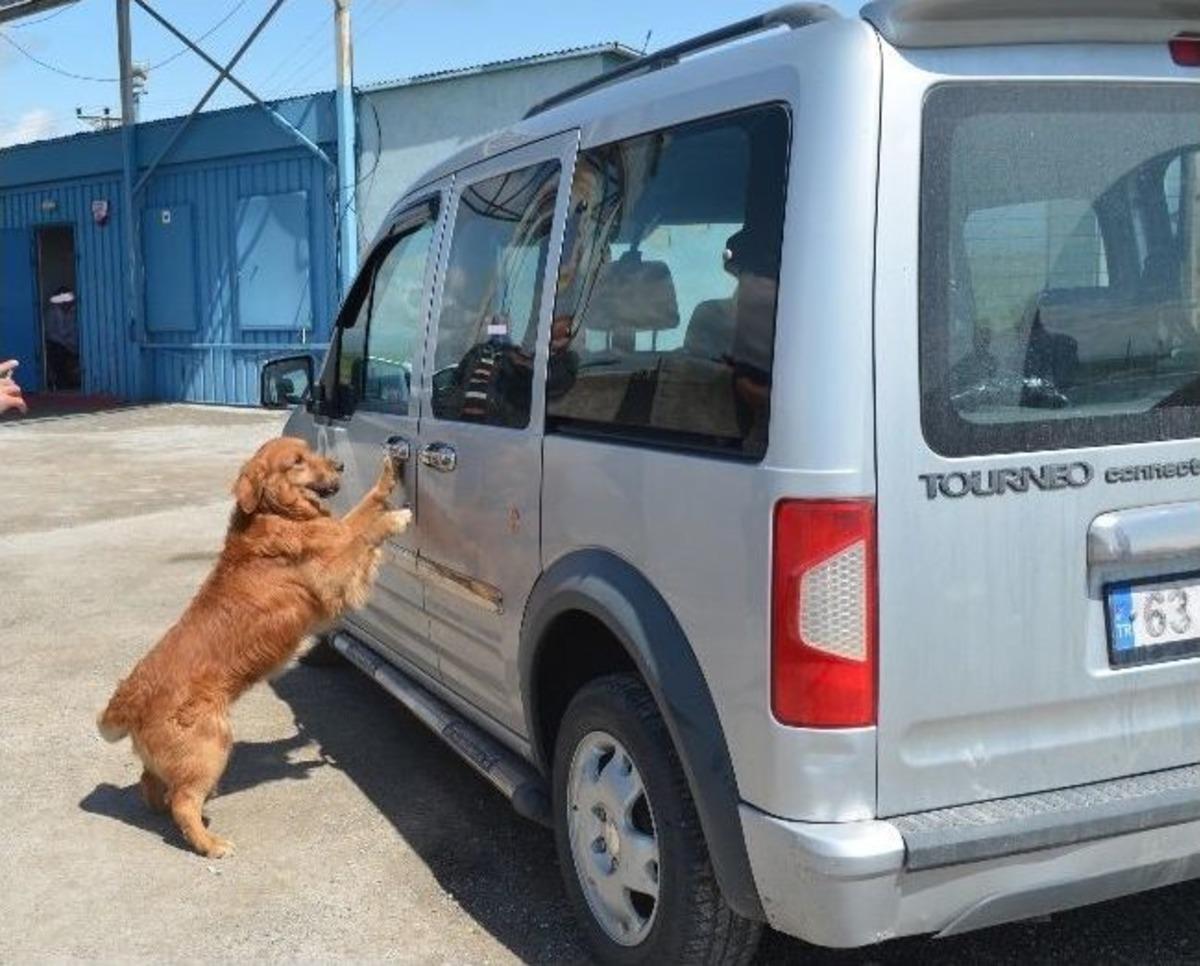 Ağrı&rsquo;da 78 Kilogram Eroin Ele Ge&ccedil;irildi