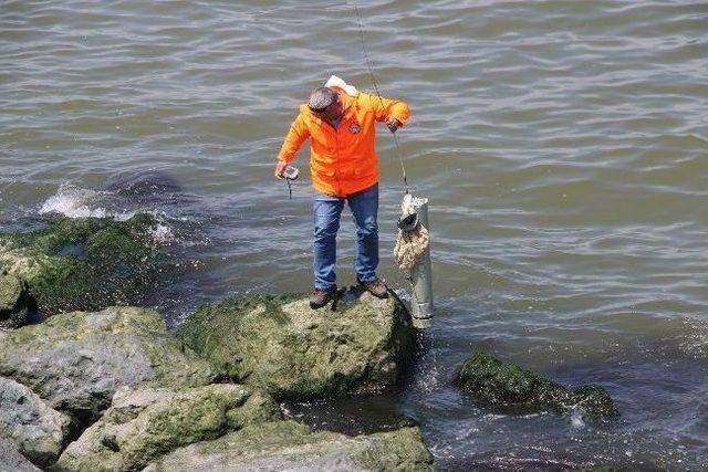 Samsun’da Esrarengiz Askeri Cihaz Kıyıya Vurdu