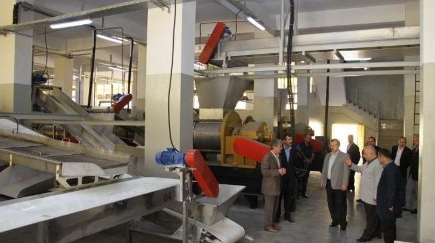 &Ccedil;aykur&rsquo;dan D&uuml;nyanın En Modern &Ccedil;ay Fabrikası