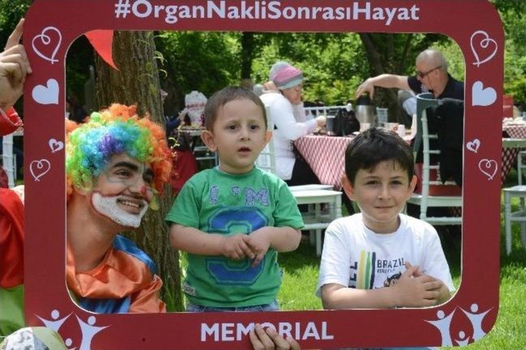 Organ Nakilli Hastalar Bahar Pikniğinde Buluştu
