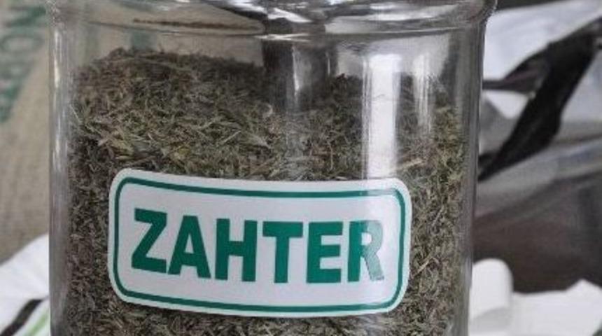 Zahter Yaz Aylarında Et Yemeklerinde Kullanılıyor