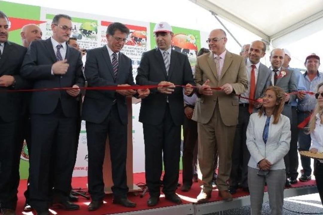Canlı Hayvan Fuarında Aydın Standlarına Yoğun İlgi