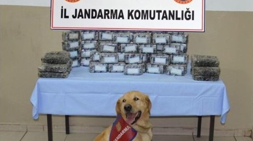 Ağrı&rsquo;da Uyuşturucu Operasyonu