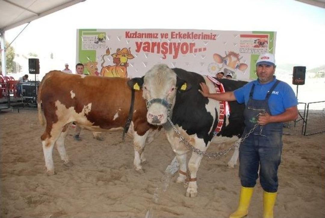 Expo Canlı Hayvan Fuarı, &Uuml;reticinin Serbest K&uuml;rs&uuml;s&uuml; Oldu