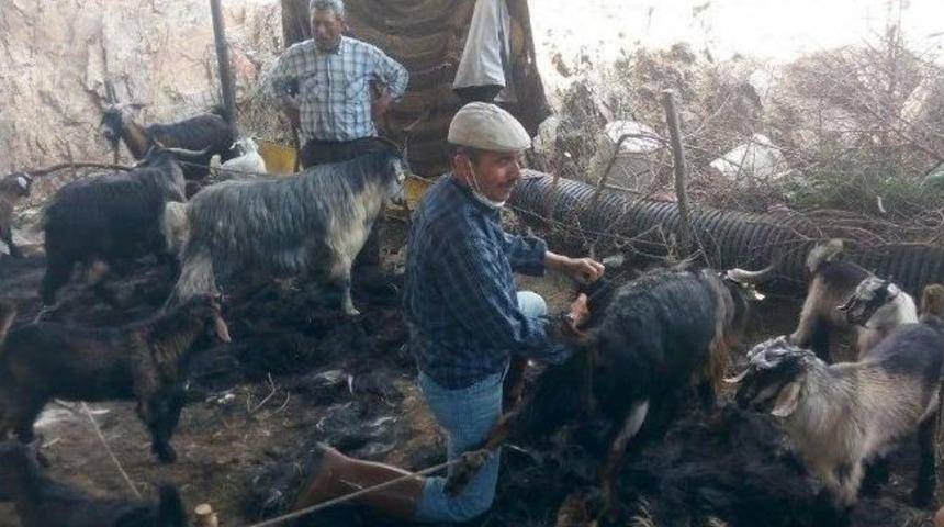 Milaslı Y&ouml;r&uuml;klerden Nostalji Kırkma Etkinliği