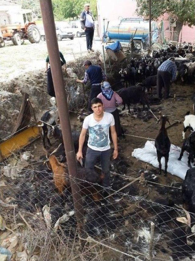 Milaslı Y&ouml;r&uuml;klerden Nostalji Kırkma Etkinliği 1