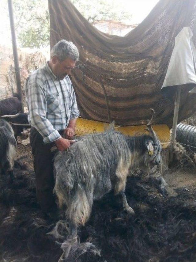 Milaslı Y&ouml;r&uuml;klerden Nostalji Kırkma Etkinliği 3