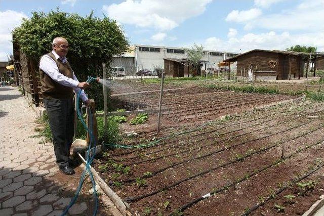 Odunpazarı’nın “hobi Bahçeleri”