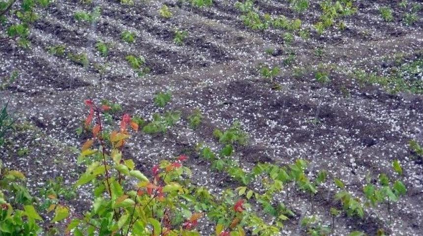 Adilcevaz’da Dolu Yağışı