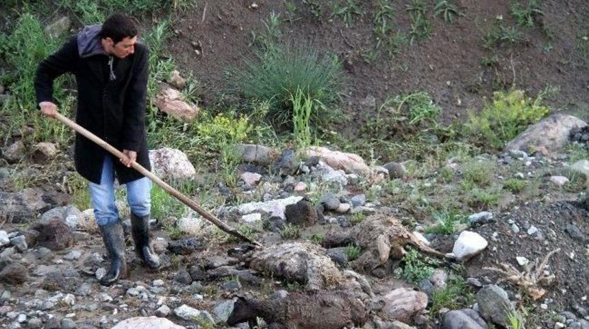 Muradiye&rsquo;de Sel