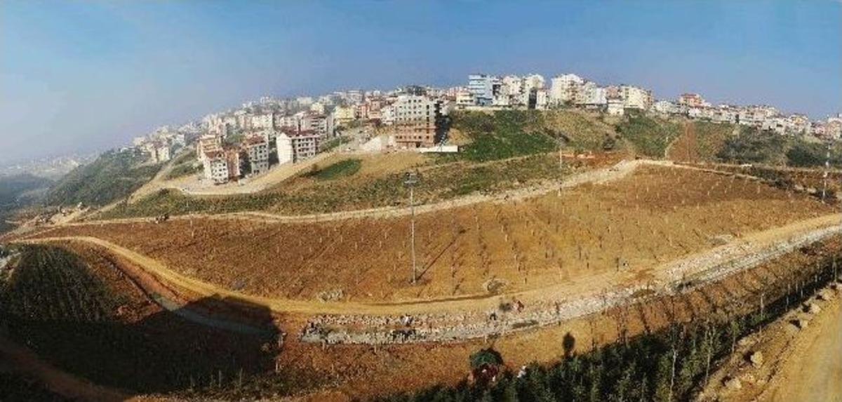 Gebze&rsquo;nin Seka Park&rsquo;ı Tatlıkuyu Vadisi Hizmete A&ccedil;ıldı