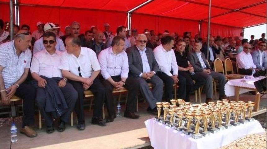 Rahvan At Yarışlarında Kıyasıya M&uuml;cadele