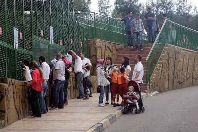 Gaziantep Hayvanat Bah&ccedil;esi, Bu Yıl Ziyaret&ccedil;i Sayısında Rekor Kırmak İstiyor 1