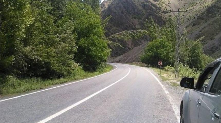 Karayoluna Doğru B&uuml;k&uuml;len Kavak Ağacı Tehlike Sa&ccedil;ıyor