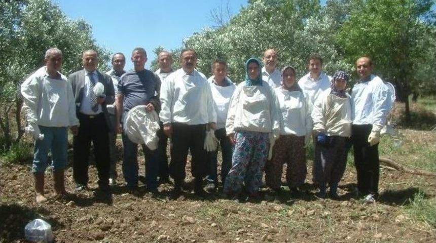 Kursa Katılan Arıcılar Tatbikat Yaptı