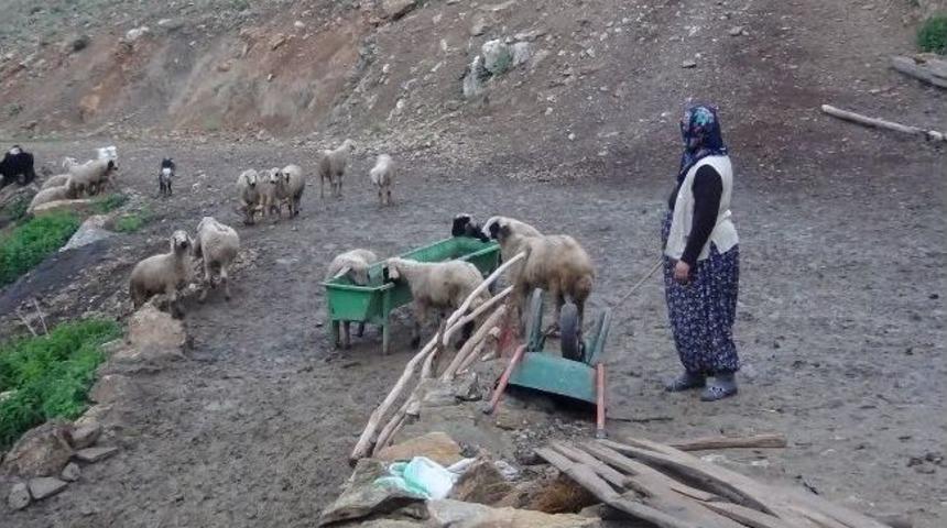 Hayvan &Uuml;reticilerine Destek Anlatıldı