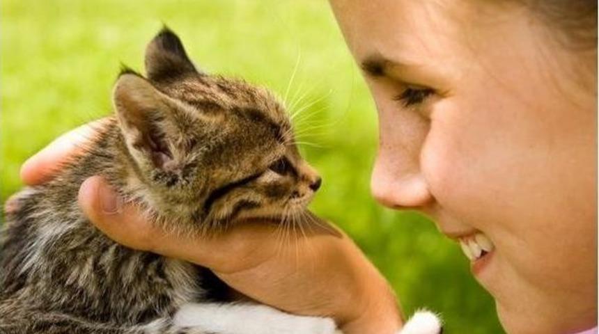 "k&uuml;&ccedil;&uuml;k G&ouml;zler, B&uuml;y&uuml;k Bakışlar" Adlı Fotoğraf Yarışması