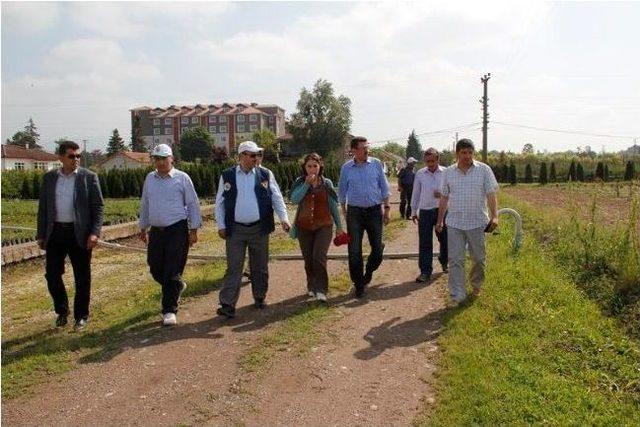 Orman Genel Müdür Yardımcısı Yunus Şeker Sakarya’da İncelemelerde Bulundu