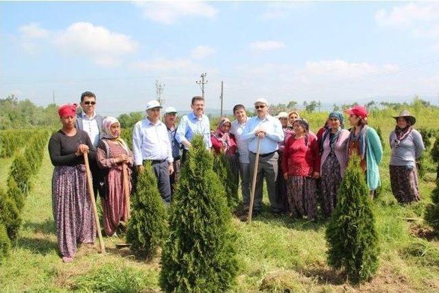 Orman Genel Müdür Yardımcısı Yunus Şeker Sakarya’da İncelemelerde Bulundu