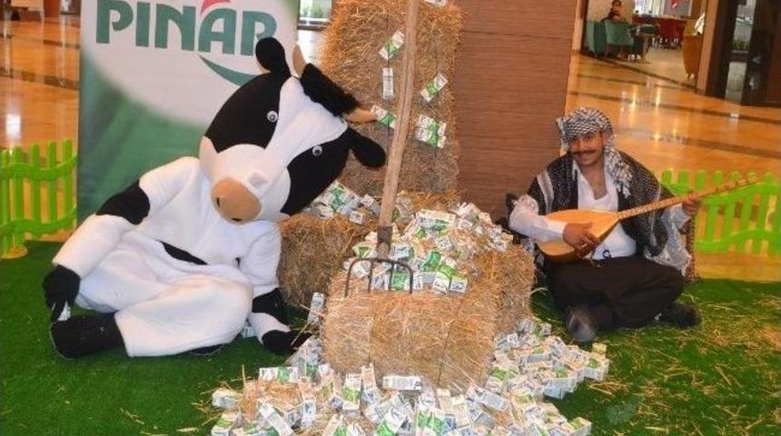 Piazza Da Sazlı S&ouml;zl&uuml; 's&uuml;t G&uuml;n&uuml;'