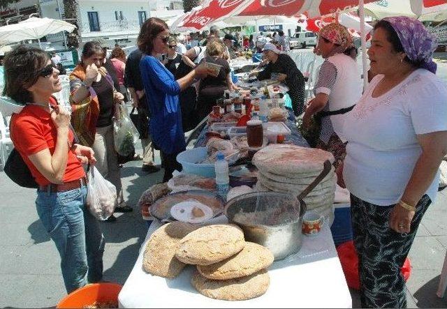 Bodrum’da Tohum Takas Şenliğiiha