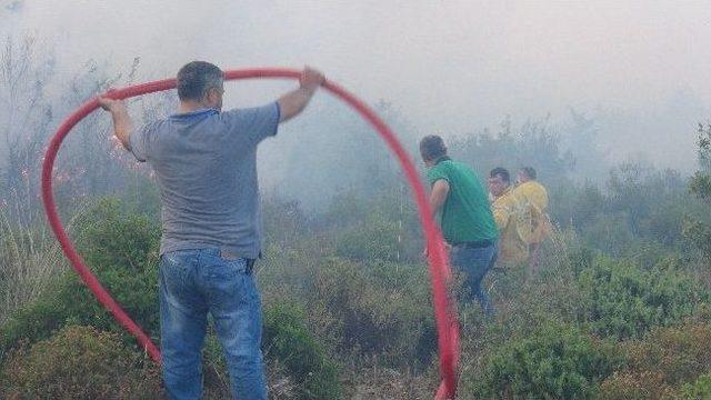 Hatay’da Orman Yangını