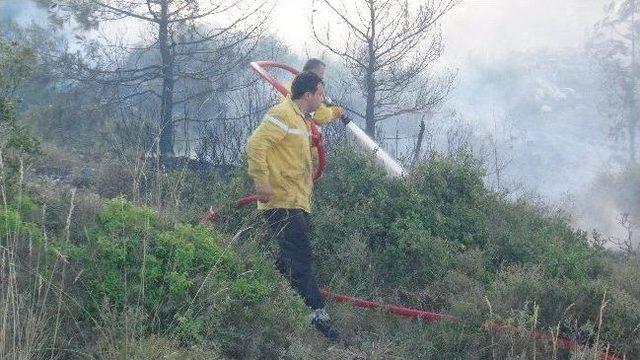 Hatay’da Orman Yangını