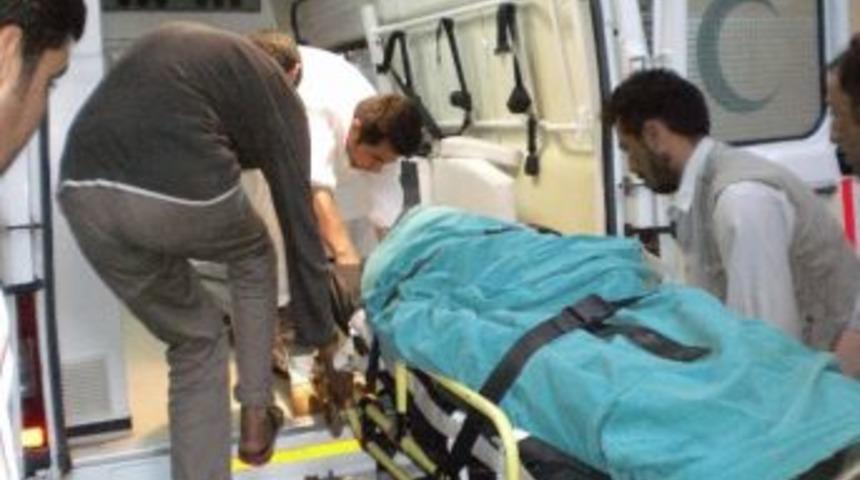 Yapay G&ouml;let Can Aldı