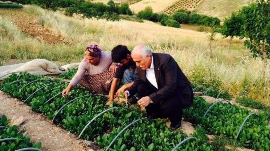 Chp Eski Milletvekili K&ouml;se, T&uuml;t&uuml;n Ekicilerini Ziyaret Etti