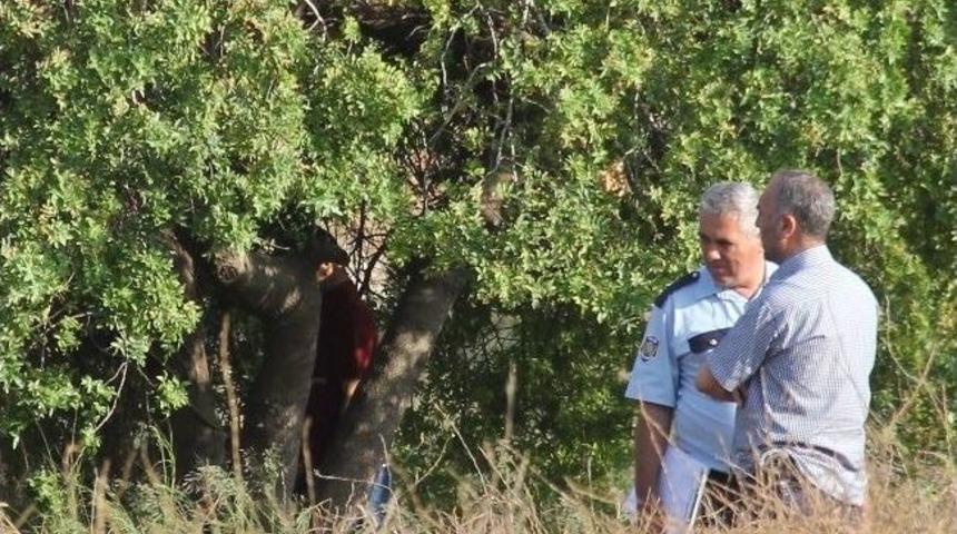 Adana'da Bir Haftada 6 Kişi İntihar Etti