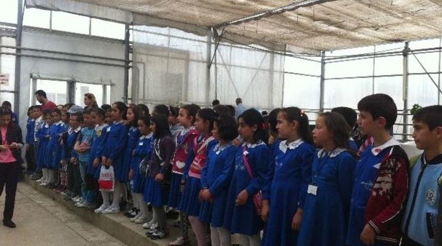 D&ouml;n&uuml;ş&uuml;m&uuml; Yerinde G&ouml;r&uuml;yorlar