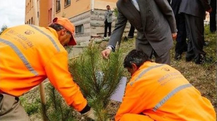 Sincan&rsquo;da Fidanlar Toprakla Buluştu