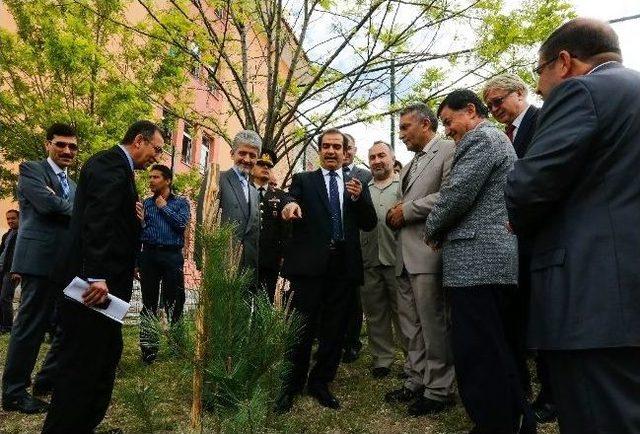 Sincan’da Fidanlar Toprakla Buluştu